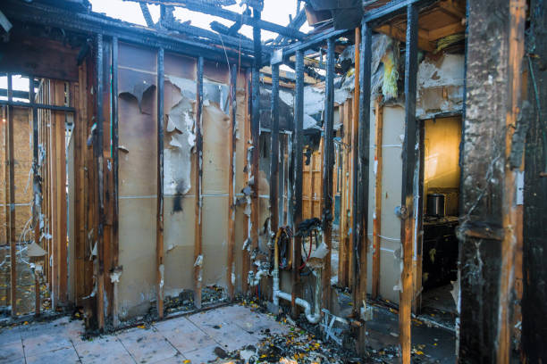 Professional Fire Damage Assessment technician working in Foreston, MN