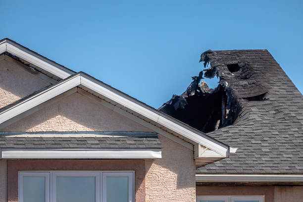 Top rated local Fire Damage Assessment specialists in Foreston, MN